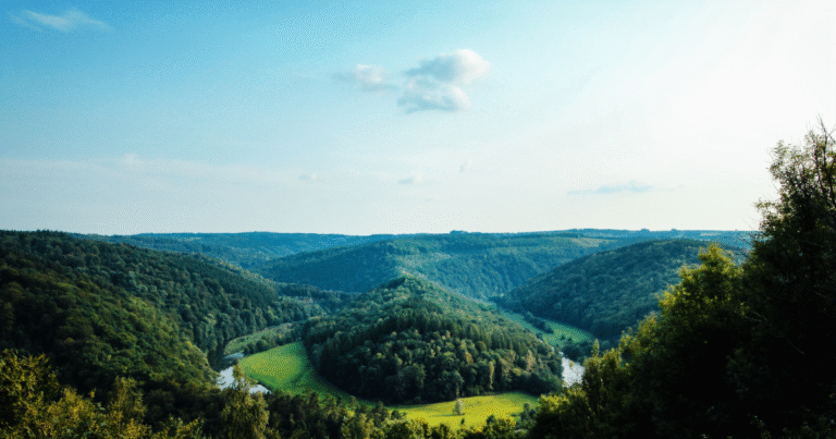 バイオ炭カーボンクレジットの信頼性を抜本強化　FLSグループとCulaが「独立第三者サンプリング」を導入