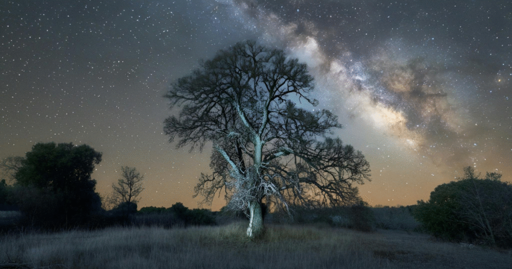 ベゾス・アース・ファンドCO2除去を加速　アースショット賞候補48社へ総額7億円超を供与