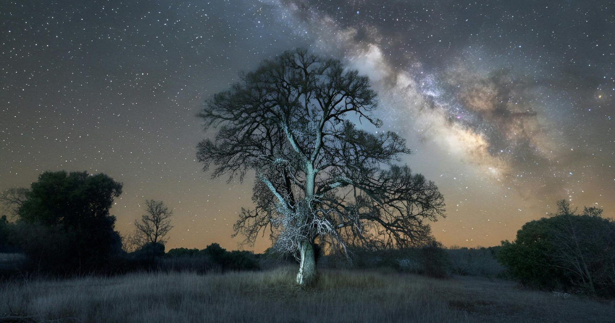 「ベゾス・アース・ファンドCO2除去を加速　アースショット賞候補48社へ総額7億円超を供与」のアイキャッチ画像