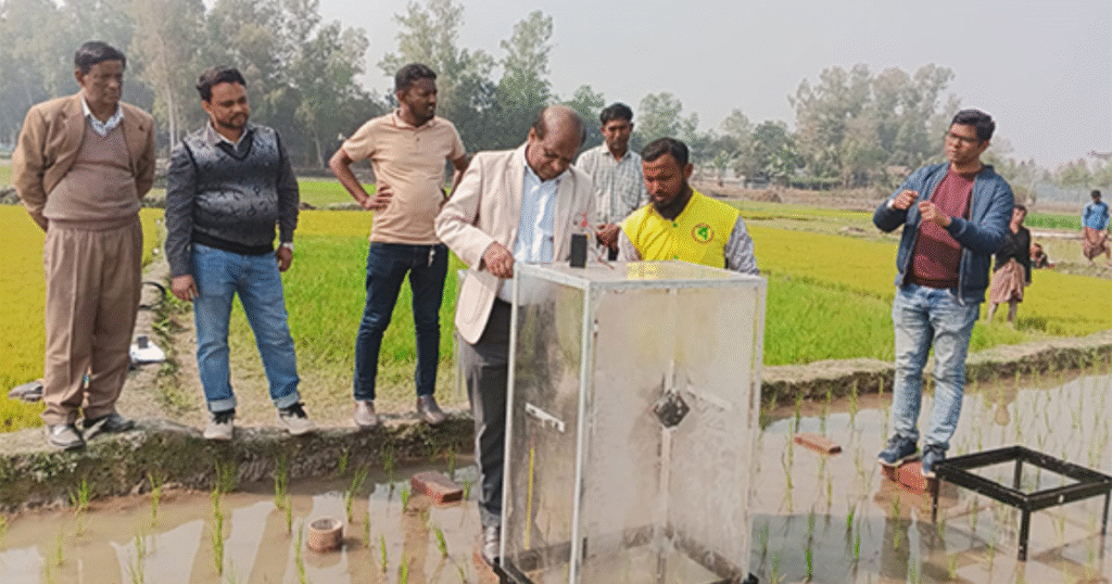 三井物産、バングラデシュでJCM事業始動　稲作メタン30％削減「GX-ETS」へカーボンクレジット供給