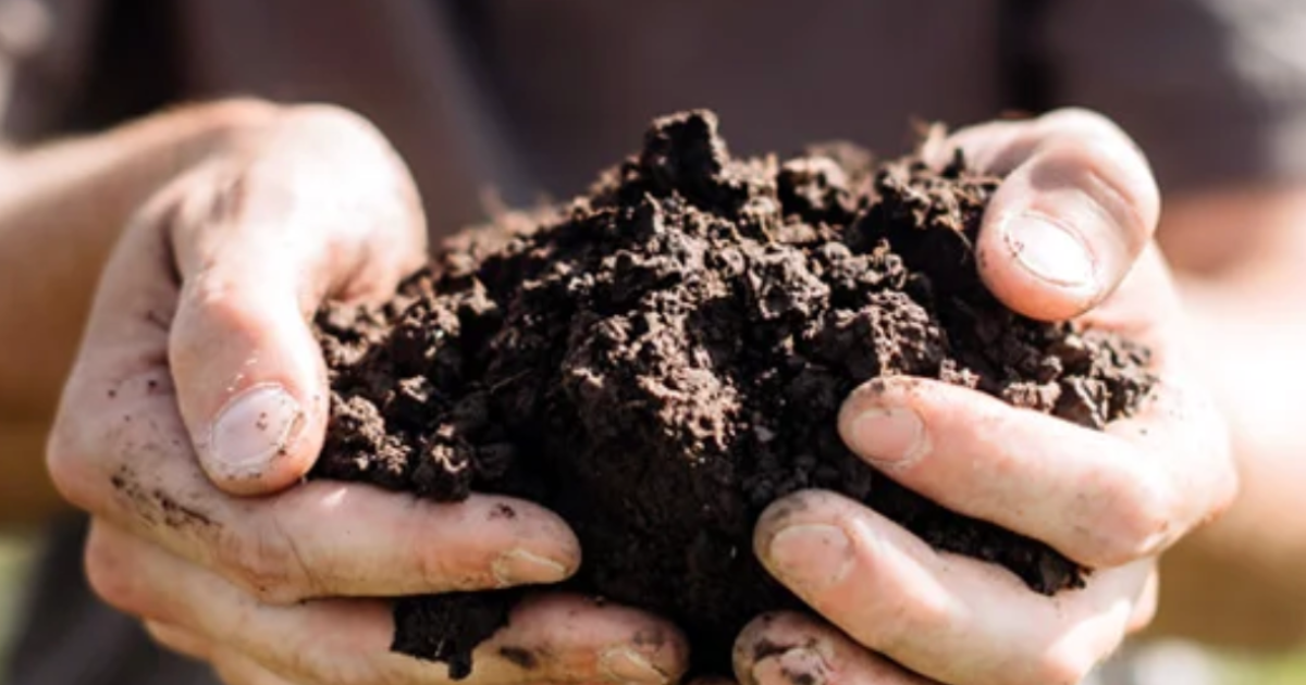 「Indigo Agが200万トンの大台突破　農業由来のカーボンクレジット発行で新機軸」のアイキャッチ画像