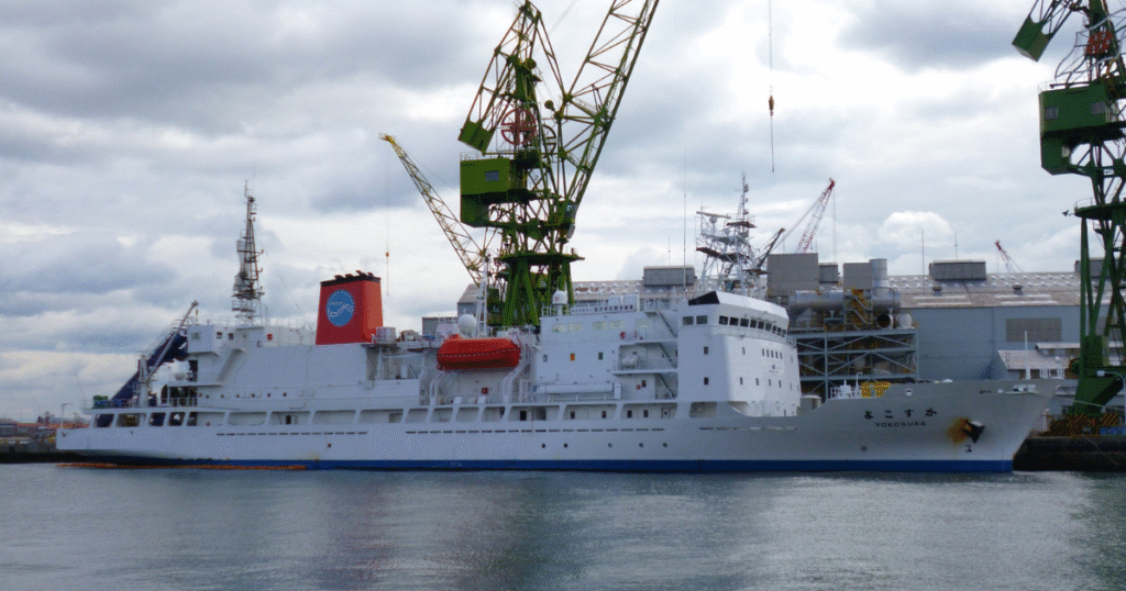 磯焼け対策がカーボンクレジットに結実　横須賀市「Jブルークレジット」4.8トンを新規認証