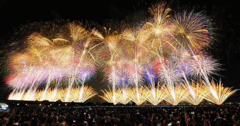 長岡花火「脱炭素」へ転換　新潟県産・稲作J-クレジットで地域循環型カーボンオフセットを実現