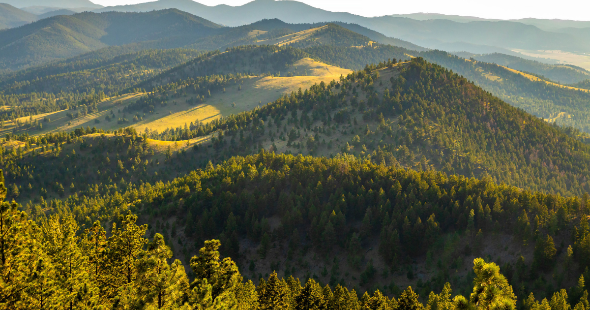 「米45Q税制を「固形・液状炭素」に拡大　共和党・民主党議員が共同でCO2除去促進の新法案を提出」のアイキャッチ画像