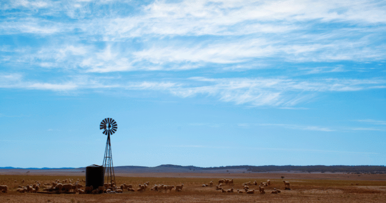鉄鋼脱炭素化へ、バイオ炭商用生産を加速　豪政府が約4.7億円の助成金でCO2除去を推進