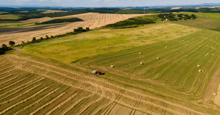 GHGプロトコルが「土地部門・炭素除去」の国際標準策定　農業・DACの排出算定を義務化