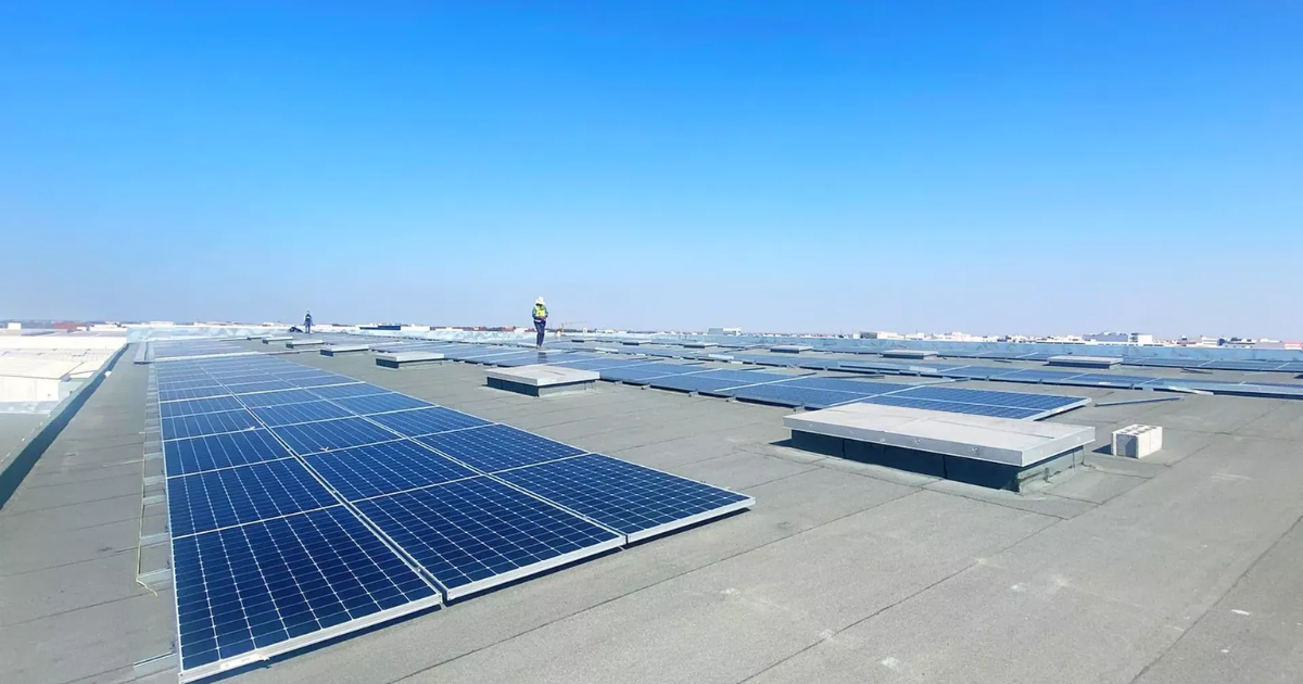 「スイスKliK財団「2026年が正念場」　ITMO承認のボトルネック解消に自信」のアイキャッチ画像