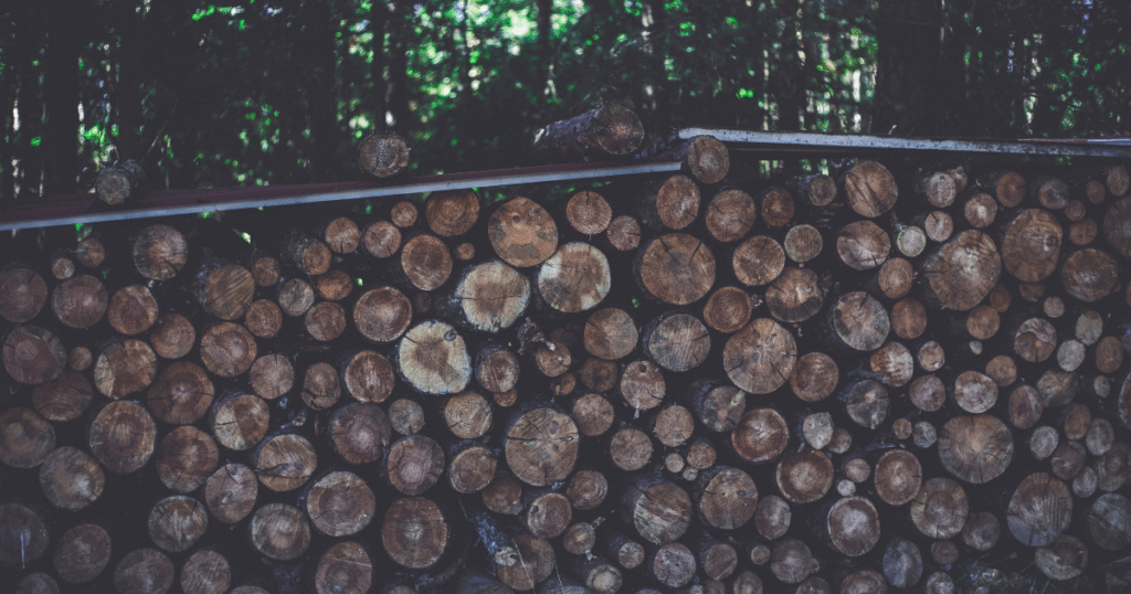 国連が第6.4条メカニズム向け「非再生可能バイオマス比率」算出ツールの草案を公開　クリーン調理プロジェクトの排出削減量算定を加速