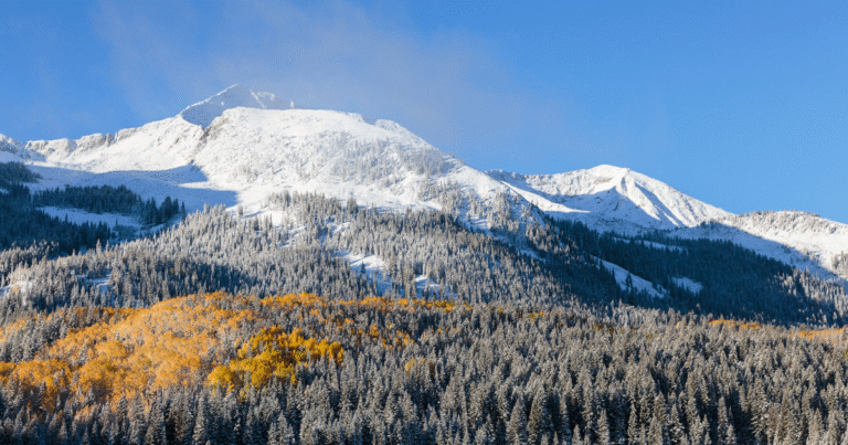 米コロラド州、産業CO2削減に8億円の助成　炭素鉱物化や製造業の電化を加速