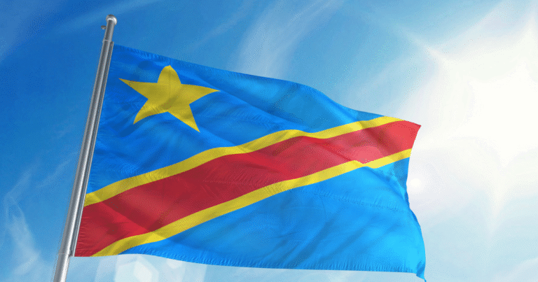 世界銀行、コンゴ盆地6カ国の「炭素市場戦略」策定を支援　膨大な森林資源の収益化へ