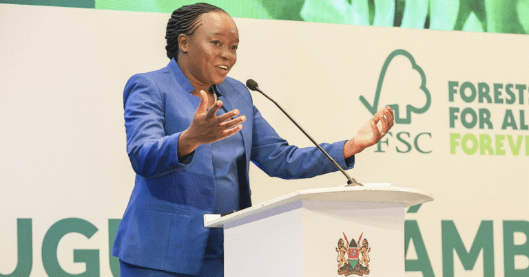 アフリカ14カ国が600億円規模の資金動員を表明　森林認証を通じたカーボンクレジットの「高保全価値化」へ