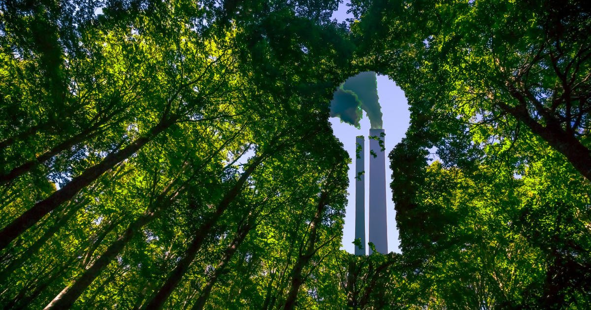 「なぜカーボンクレジットは「炎上」するのか？　具体的な事例から広報・サステナ担当が知っておくべき批判の正体と、過剰なリスク回避の罠」のアイキャッチ画像