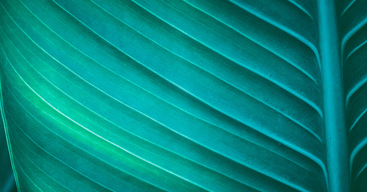 「環境省、令和8年度「シナジー型JCM」公募を開始 脱炭素と環境保全の相乗効果を重視」のアイキャッチ画像