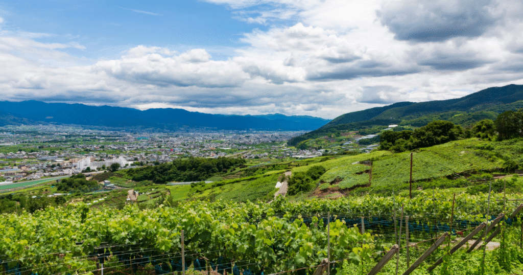 バイオ炭×Web3で農業を変革　キャスレーDI、山梨でJ-クレジット創出DAOモデルを発表