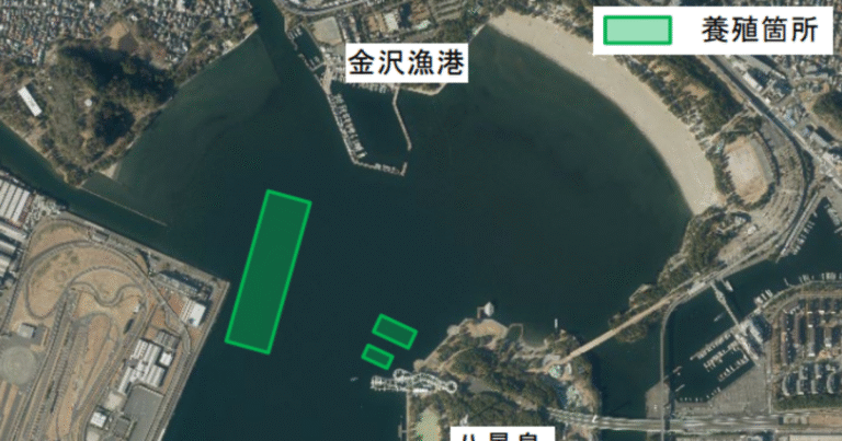 横浜港でJブルークレジット認証を取得　大都市圏初、環境再生型海藻養殖で0.4トンのCO2固定を実証