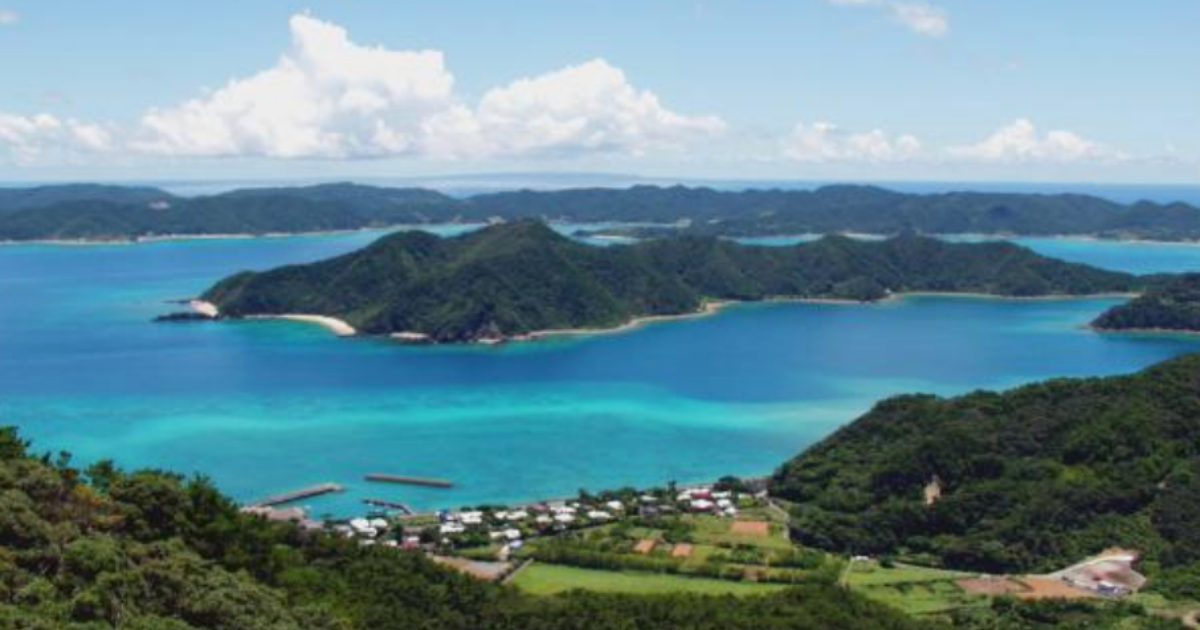 サカイ引越センター、奄美大島・龍郷町とJ-クレジット購入協定を締結　エシカル引越の売上を森林保全へ