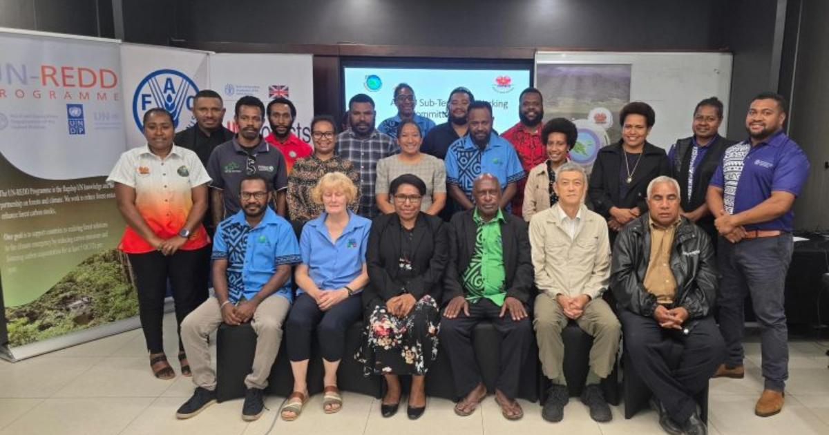 「パプアニューギニア、カーボンクレジット・ロジェクトの新許可申請制度を正式運用開始」のアイキャッチ画像