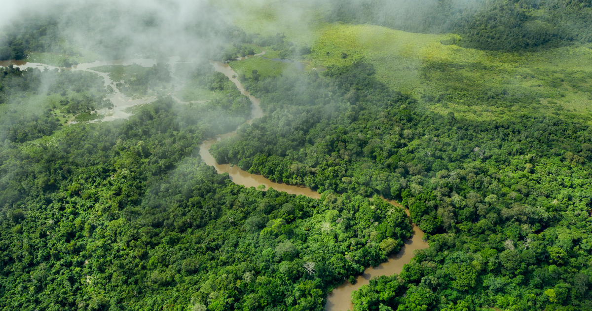 「コンゴ盆地6カ国、森林カーボンクレジット市場参入に向けた戦略ロードマップを公表」のアイキャッチ画像