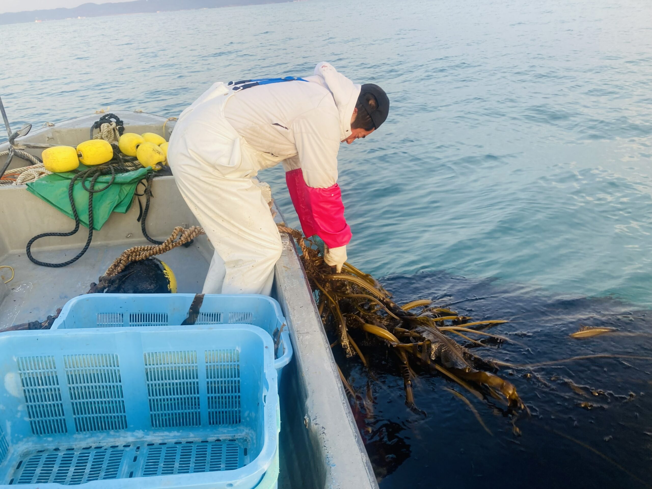 ヴェントゥーノと糸島漁協、2026年度Jブルークレジット取得へ向けワカメ養殖場で湿重量測定を実施