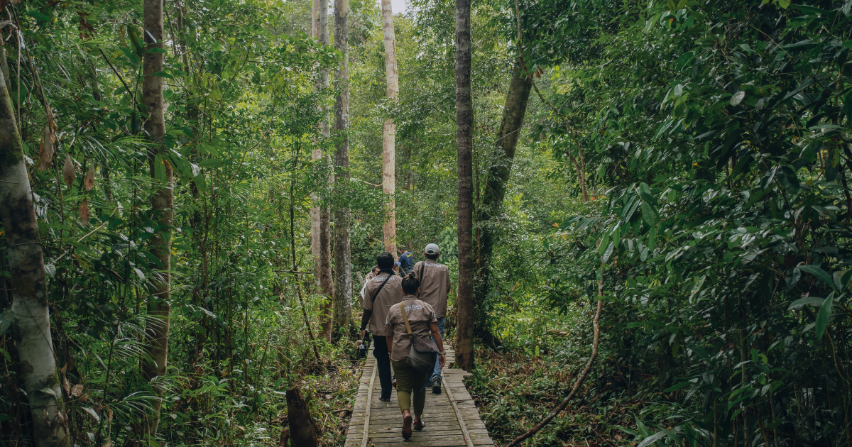 インドネシア最大級REDD+プロジェクト「リンバラヤ」、規制強化で現地法人への経営移管が完了