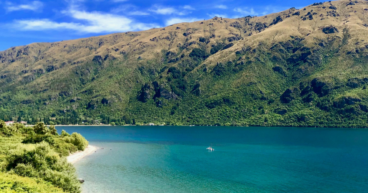 NZ環境省、ボランタリーカーボン・ネイチャー市場の整合性枠組みを公表　ICVCMら国際機関を公的認知へ