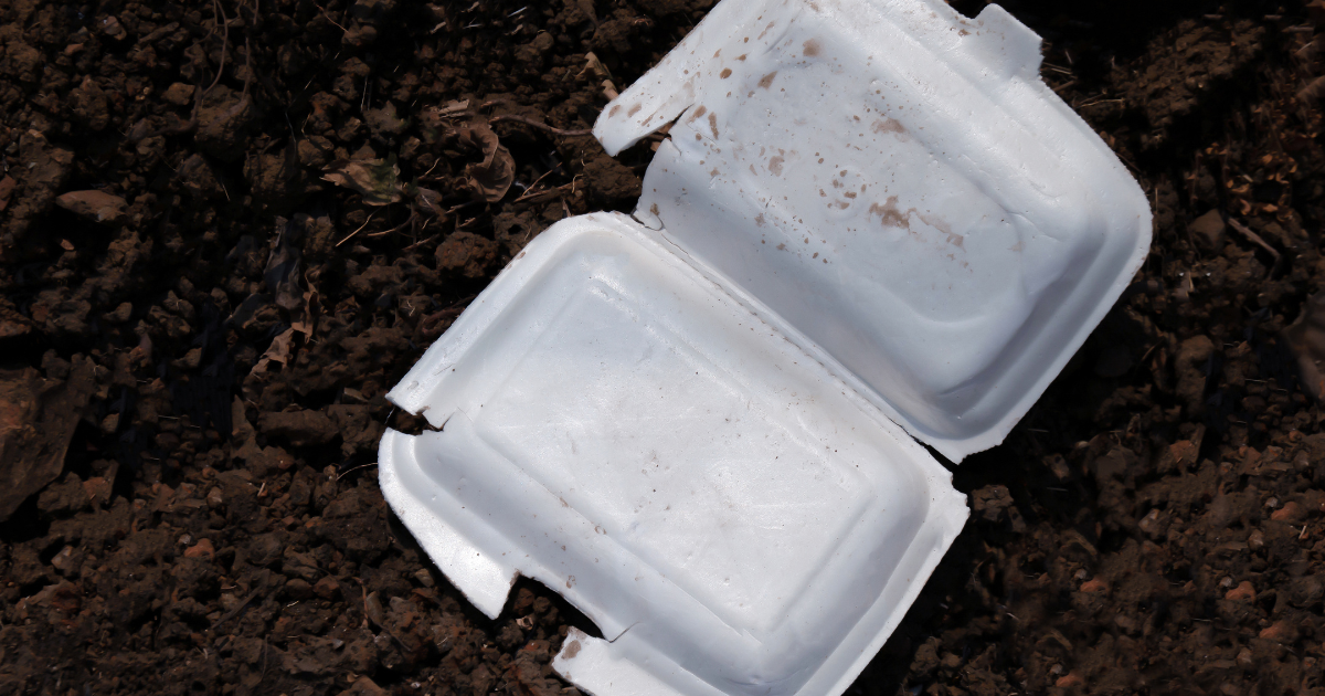 食品廃棄物由来の非加熱DAC吸着材、ETHがコスト構造への切り込みを狙う